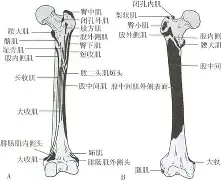 lol补丁下载-包含膝m(铚0勸轍富?磶+???馲?埰%?(曫虁醺V$泿扽鑏誄妰??♂に訮b?!?哎b?)噪6?杚虖?靽C⒗€楫ZDK$V|榙釡9A乃?[?飦F沶胺尟詶